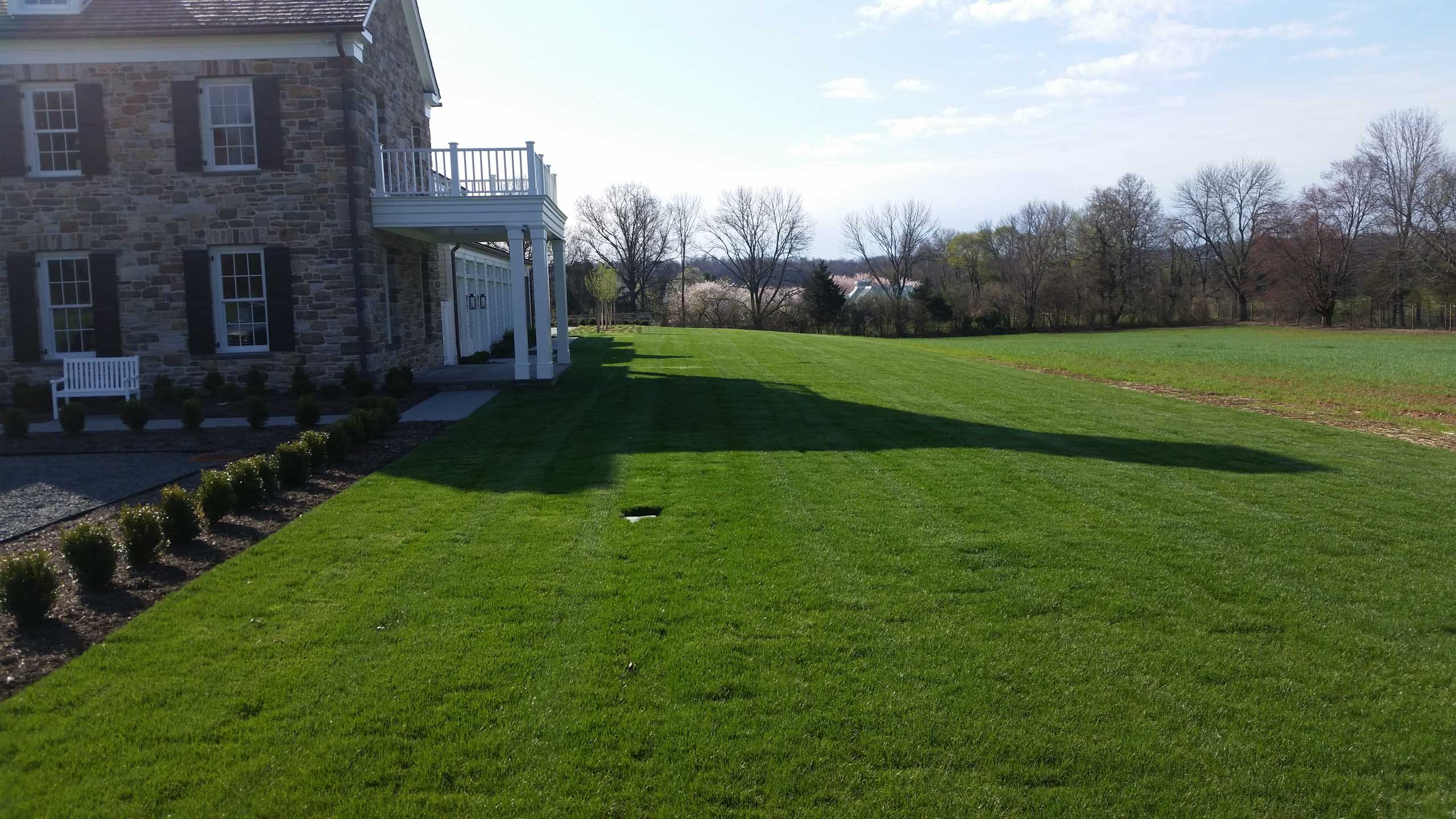 Scotch Plains, NJ Plant Health Care Services Company