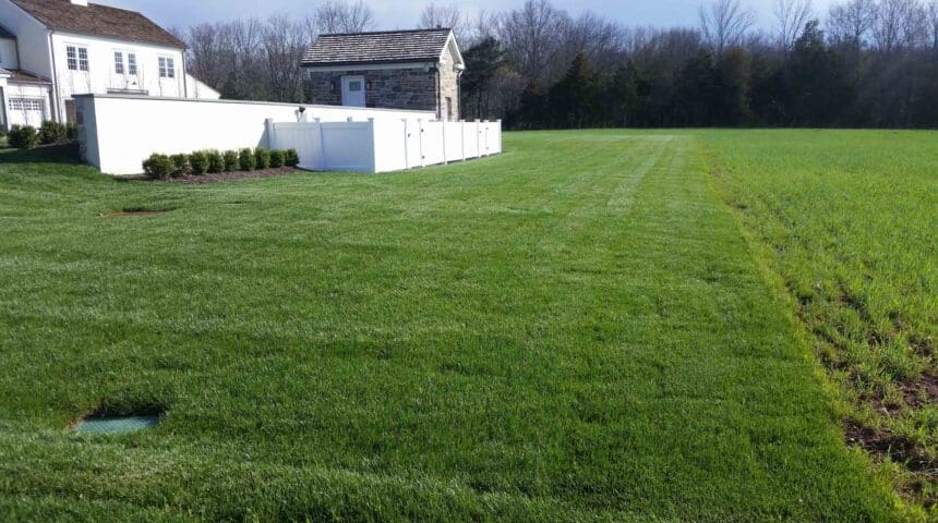Scotch Plains, NJ Lawn Care Company