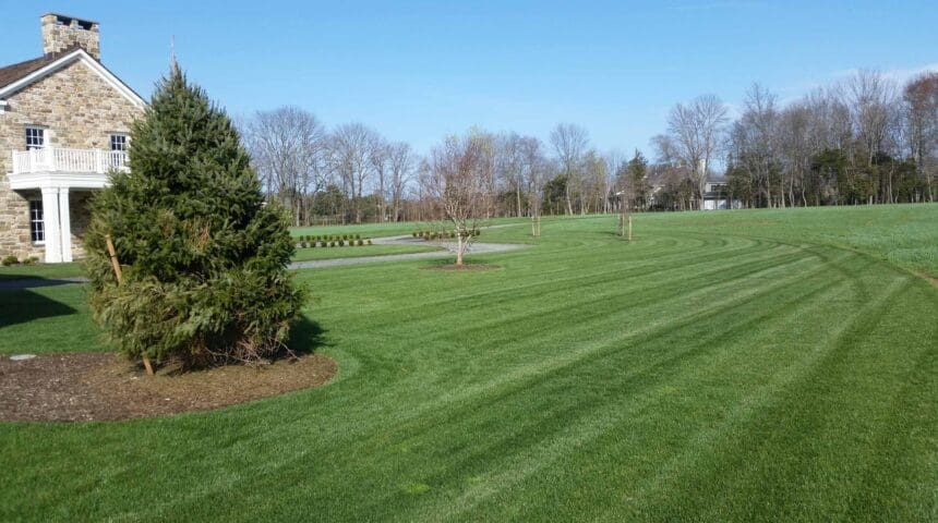 Scotch Plains, NJ Lawn Care Companies