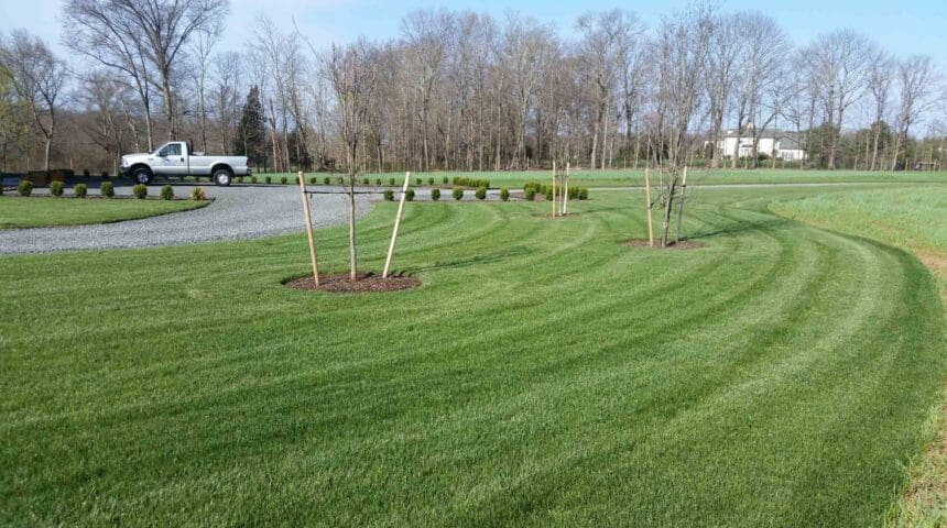 Scotch Plains, NJ Plant Health Care Services Company