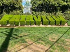 Scotch Plains, NJ Commercial Lawn Care Companies