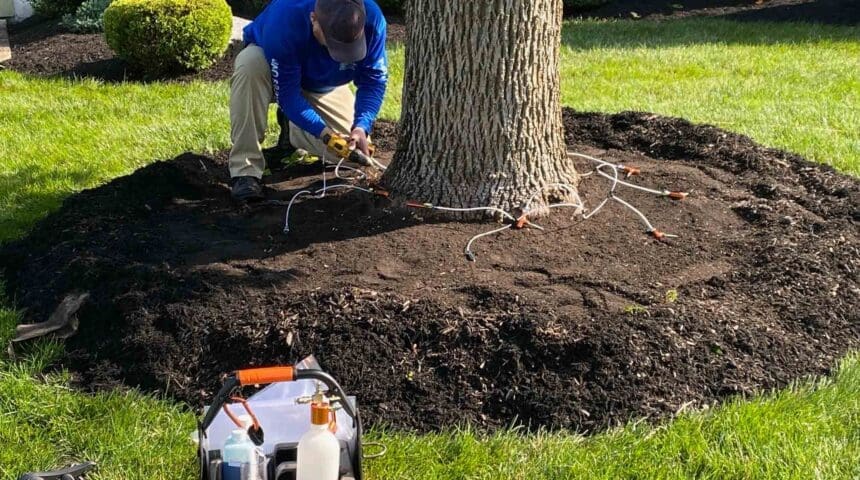 Scotch Plains, NJ Lawn Care Companies