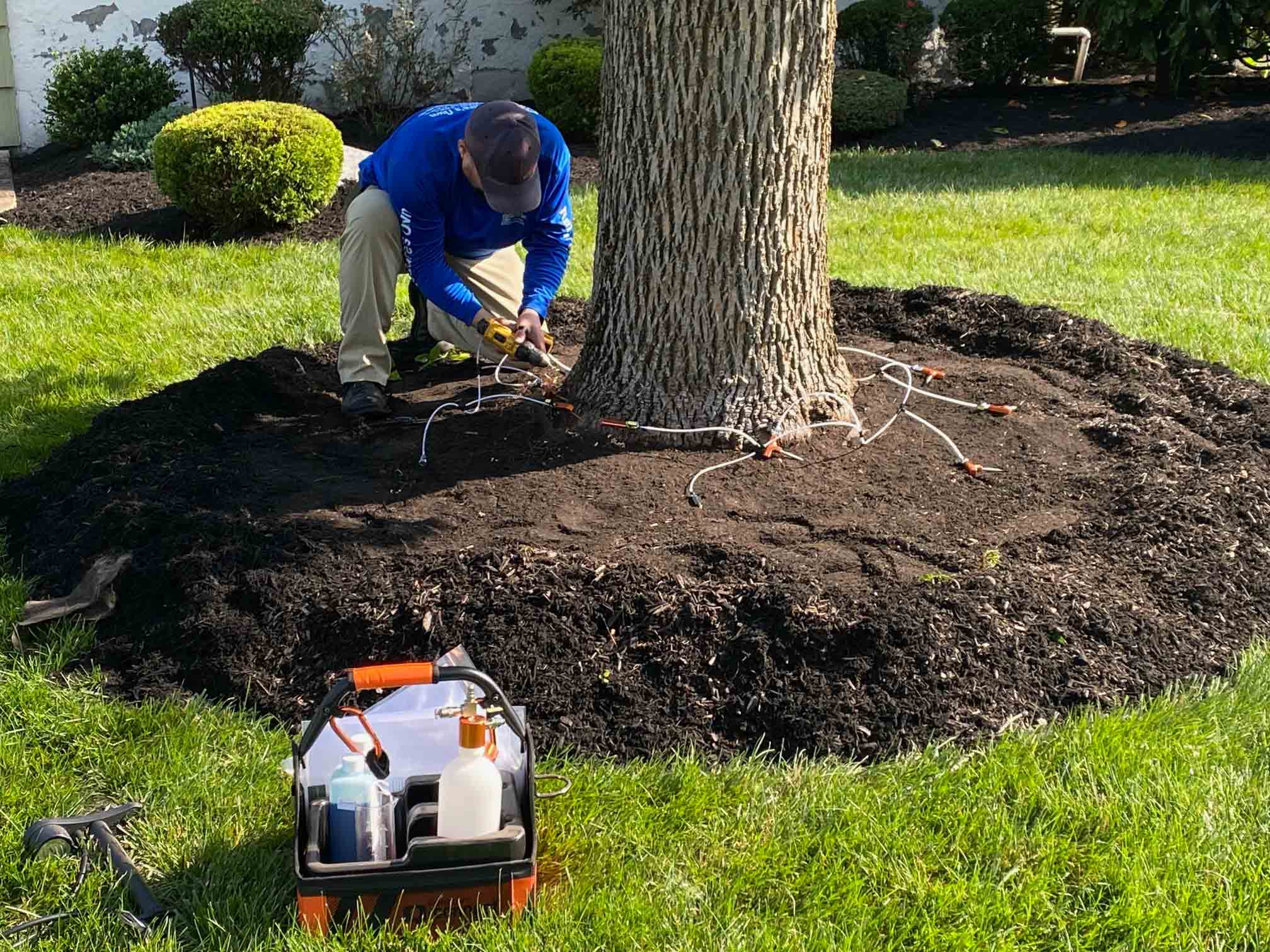 Scotch Plains, NJ Lawn Care Companies
