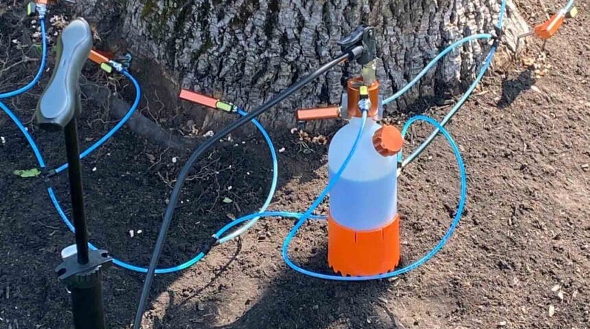 Scotch Plains, NJ Plant Health Care Services Company