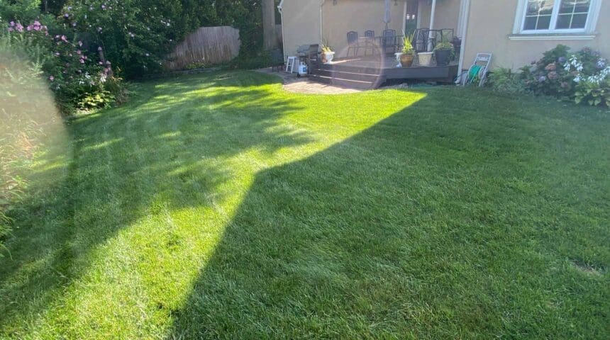 Fanwood, NJ Lawn Care Team