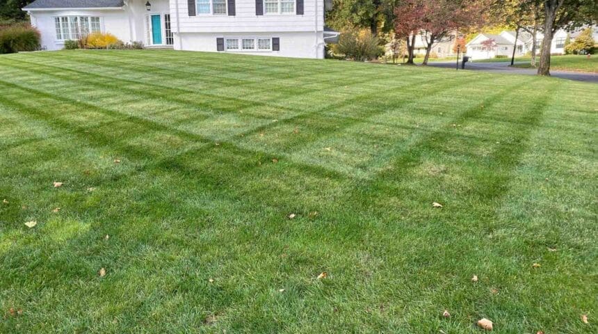 Fanwood, NJ Lawn Care Team