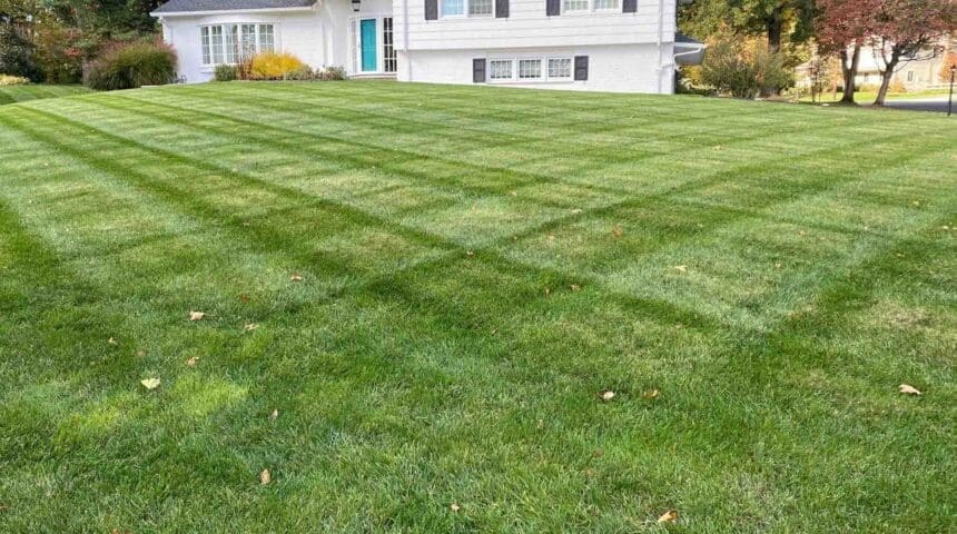 Scotch Plains, NJ Lawn Care Company