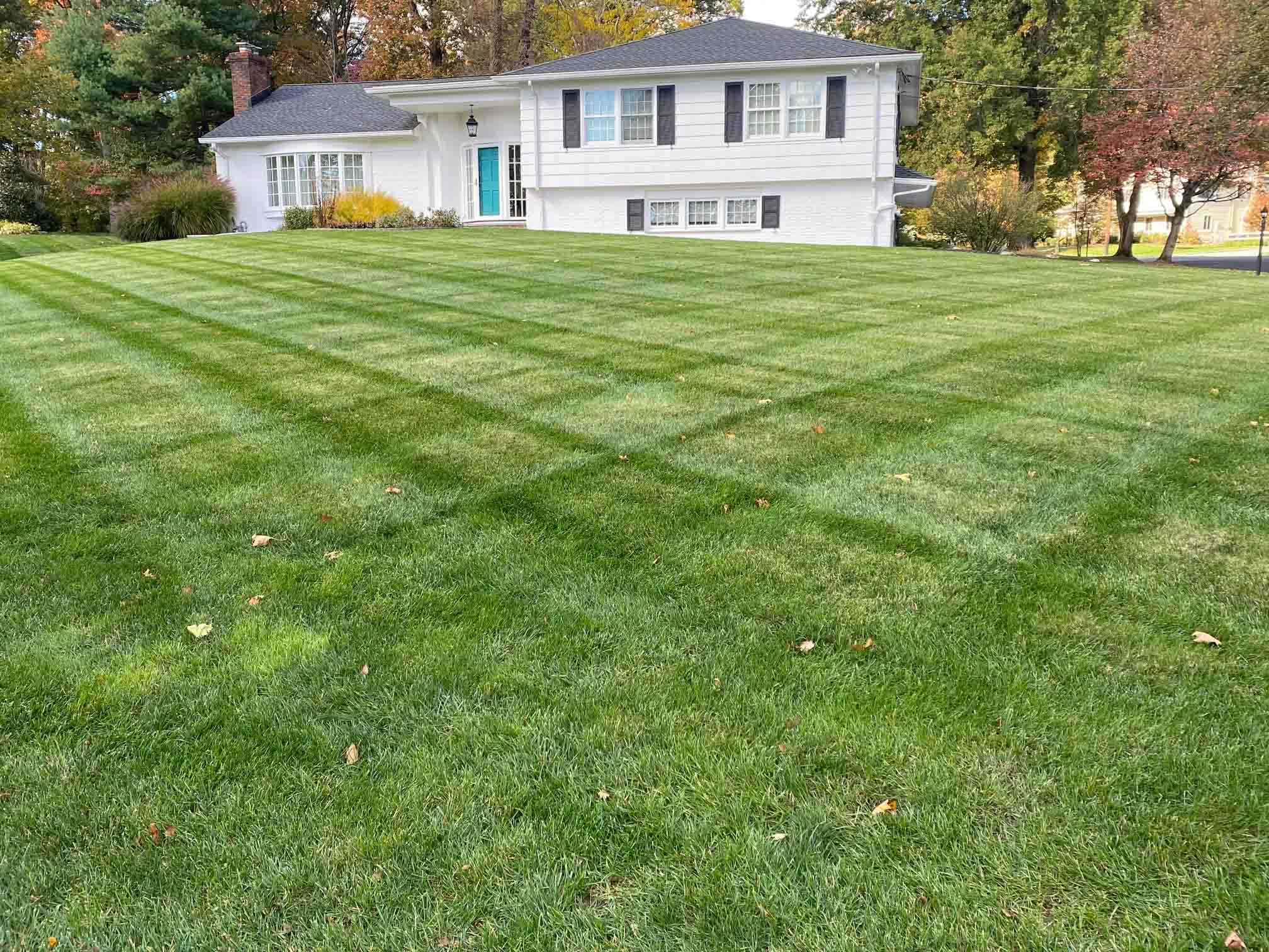Scotch Plains, NJ Lawn Care Company