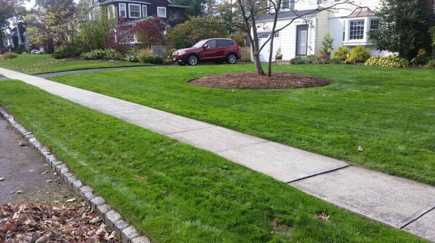 Scotch Plains, NJ Lawn Care Company
