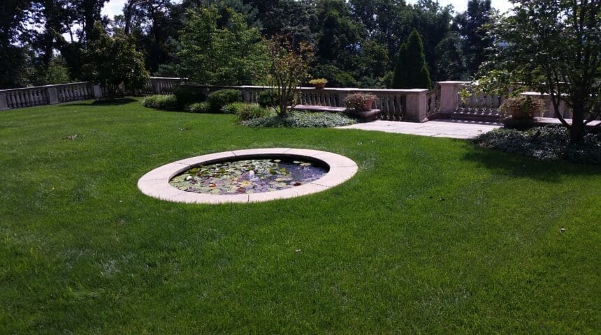 Lawn Care Services Scotch Plains, NJ