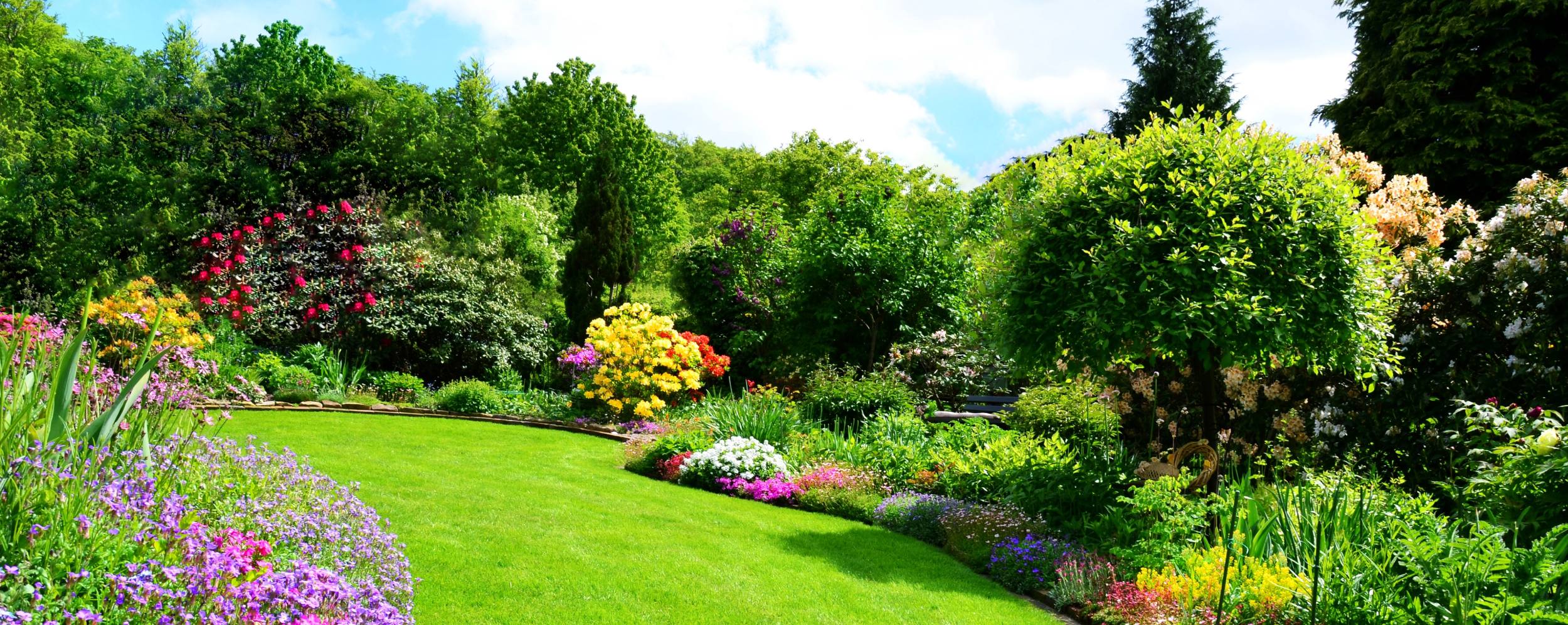 Scotch Plains, NJ Lawn Care Companies