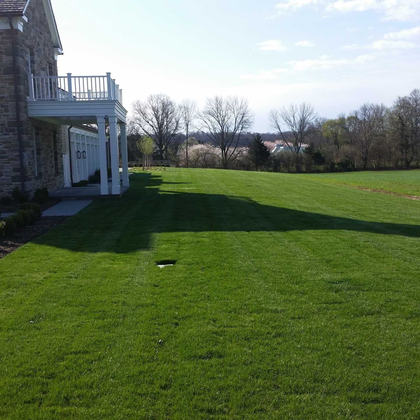 Scotch Plains, NJ Plant Health Care Services Company