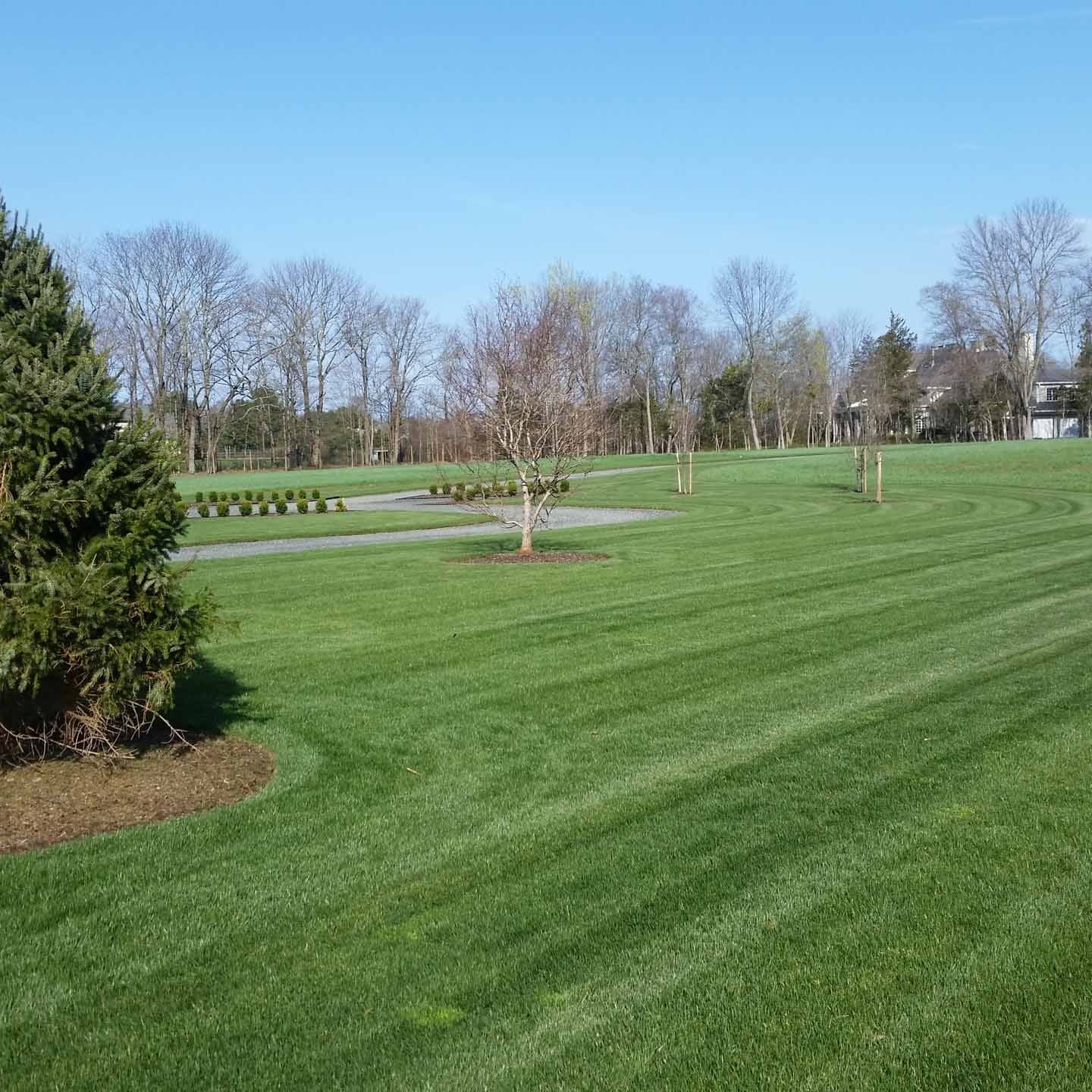 Scotch Plains, NJ Lawn Care Companies
