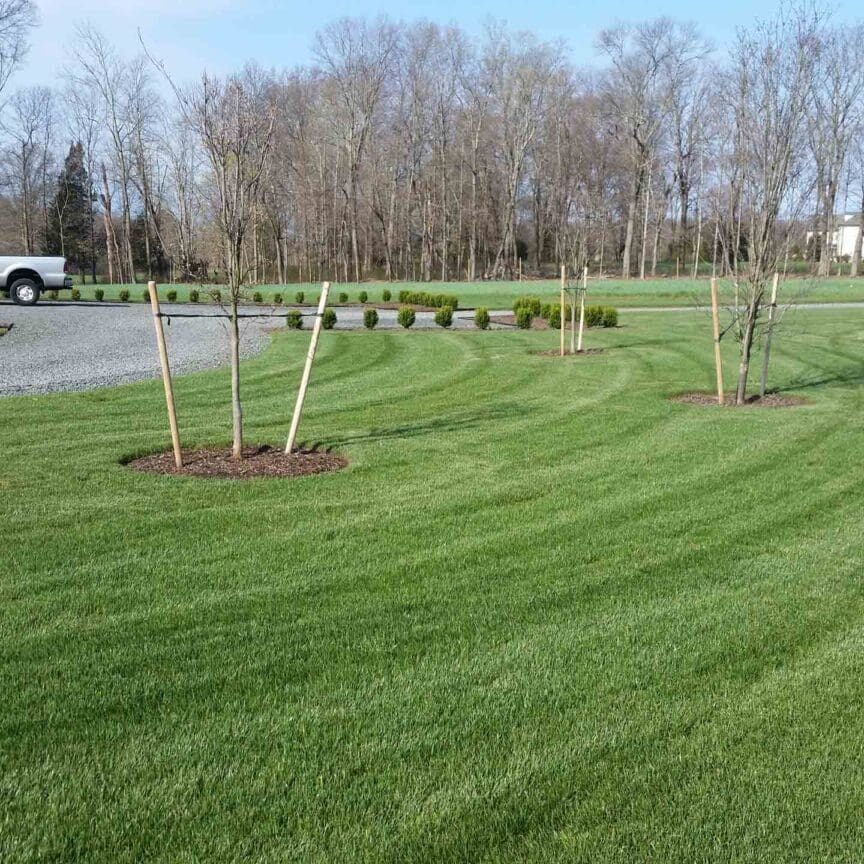 Scotch Plains, NJ Plant Health Care Services Company