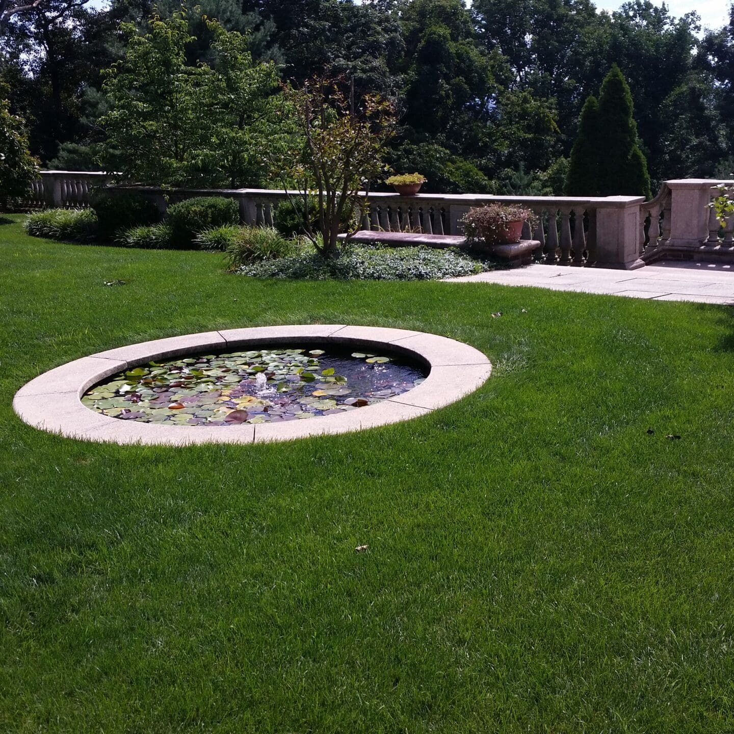 Lawn Care Services Scotch Plains, NJ