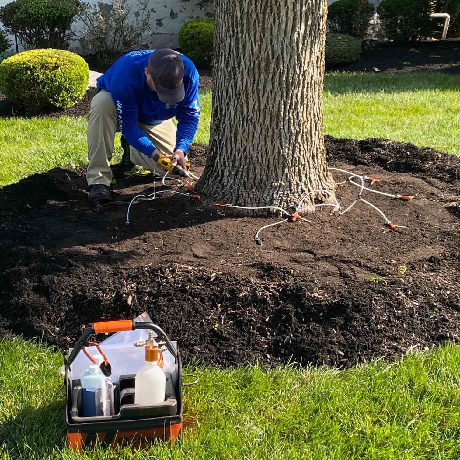 Scotch Plains, NJ Lawn Care Companies