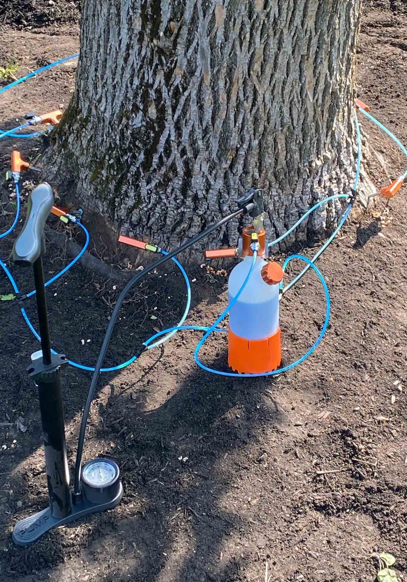 Scotch Plains, NJ Plant Health Care Services Company