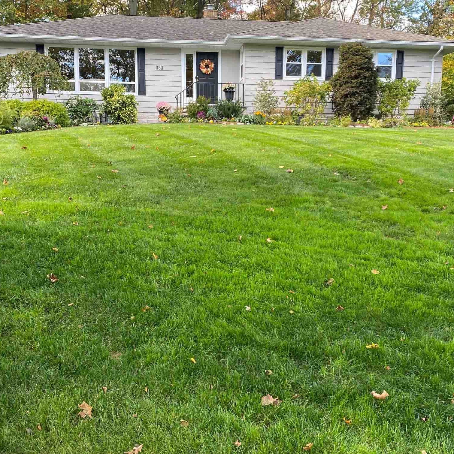 Scotch Plains, NJ Plant Health Care Services Company