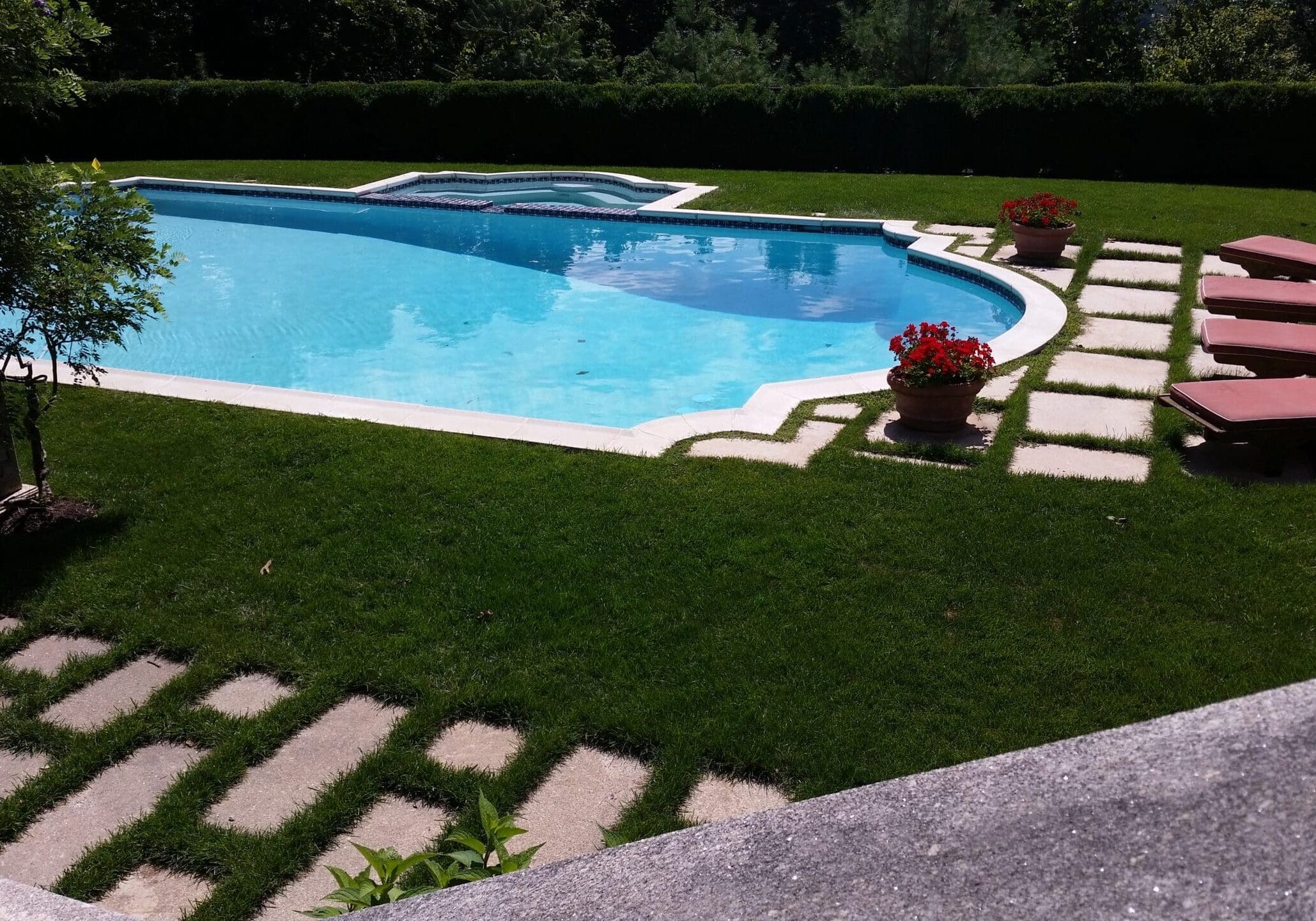 Scotch Plains, NJ Flea, Mosquito & Tick Control Services