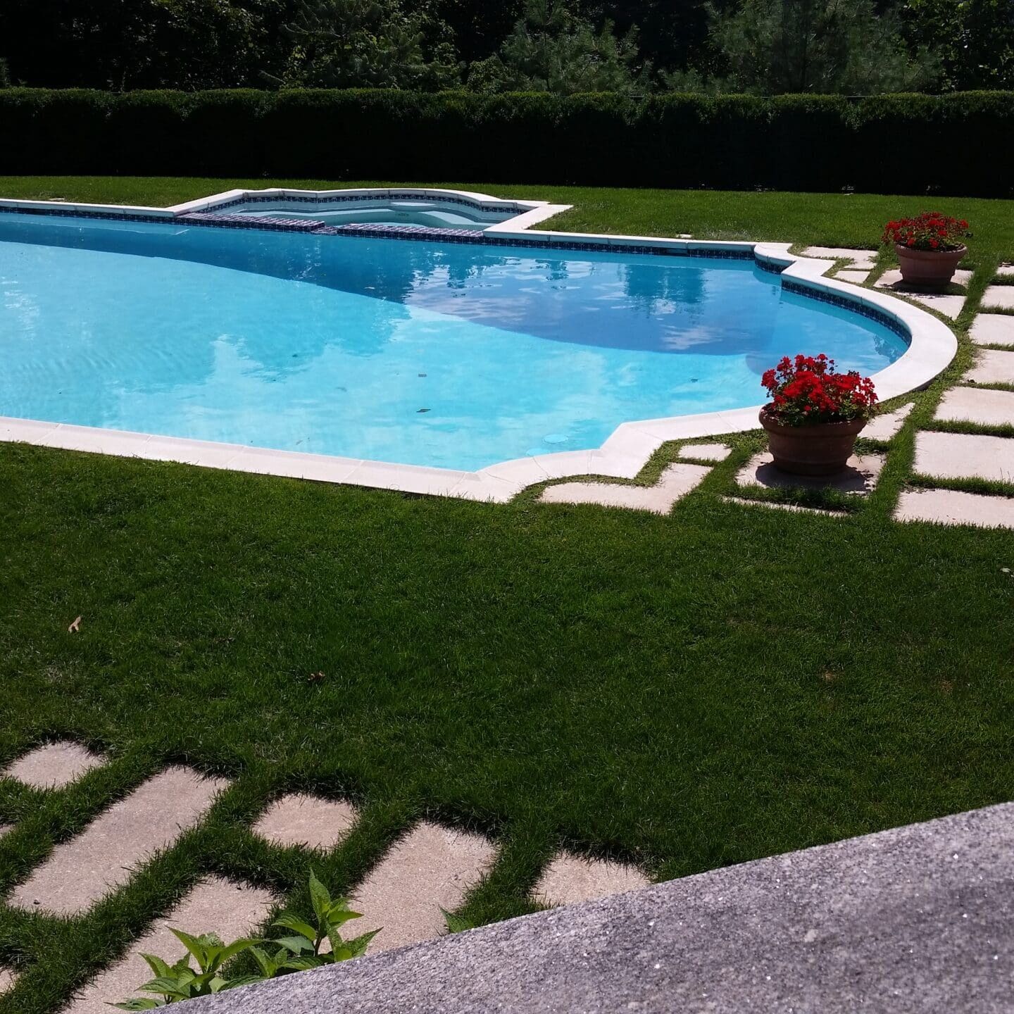 Scotch Plains, NJ Flea, Mosquito & Tick Control Services