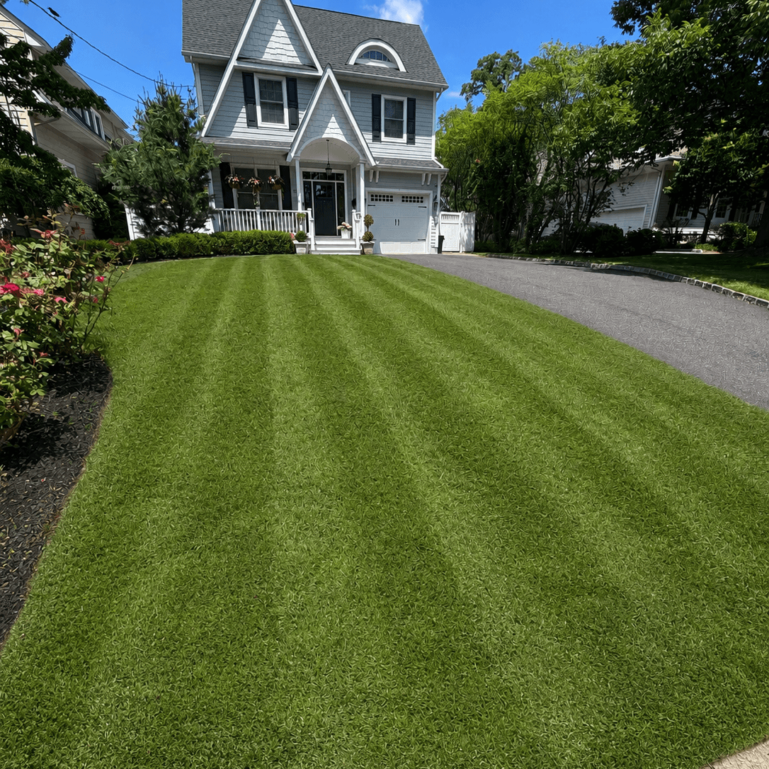 Scotch Plains, NJ Lawn Care3