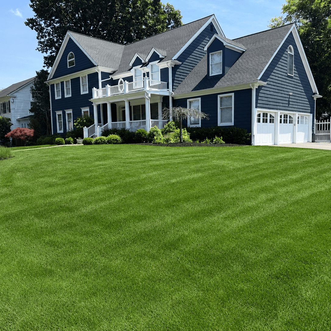 Scotch Plains, NJ Lawn Care5