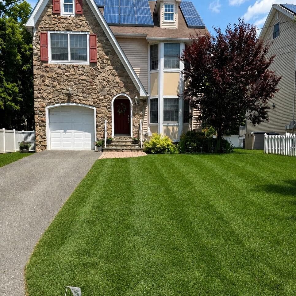 Scotch Plains, NJ Lawn Care6