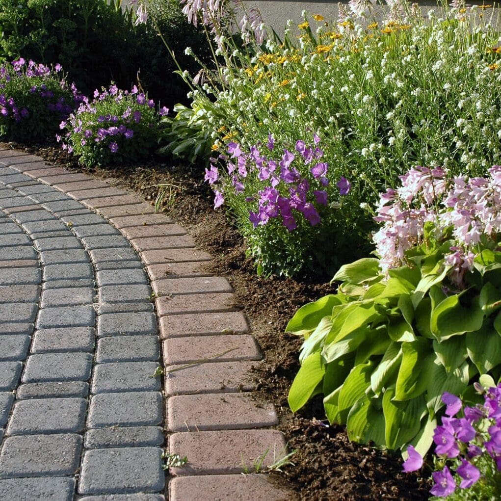 Scotch Plains, NJ Flea, Mosquito & Tick Control Services