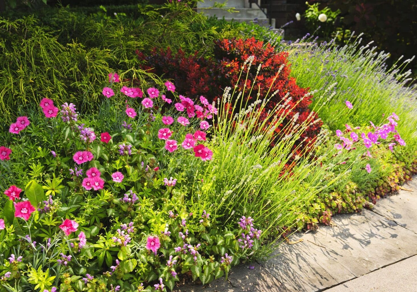 Scotch Plains, NJ Lawn Care Companies