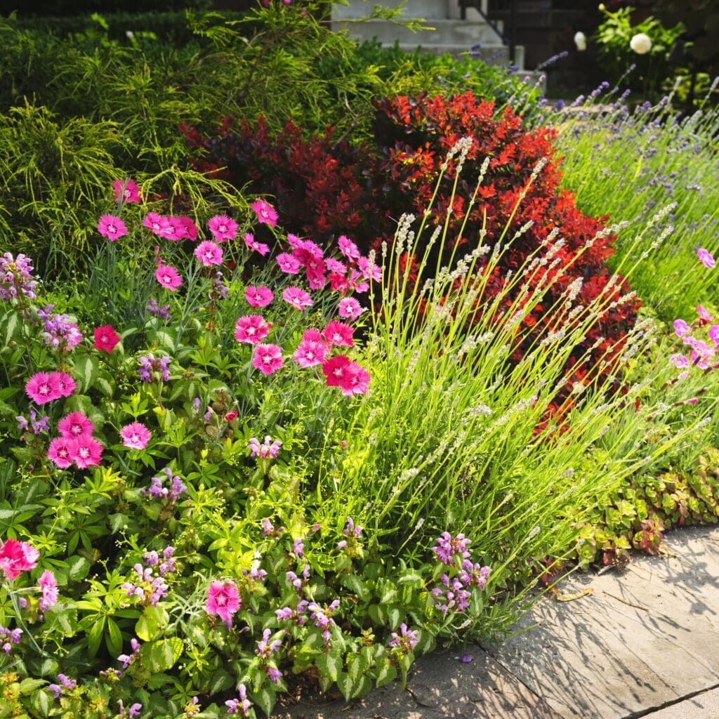 Scotch Plains, NJ Lawn Care Companies