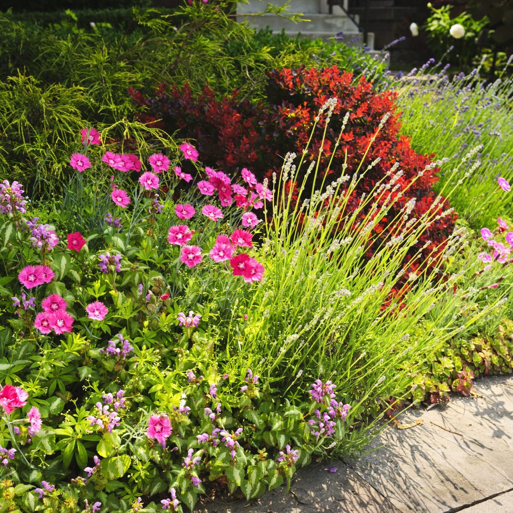 Scotch Plains, NJ Lawn Care Companies
