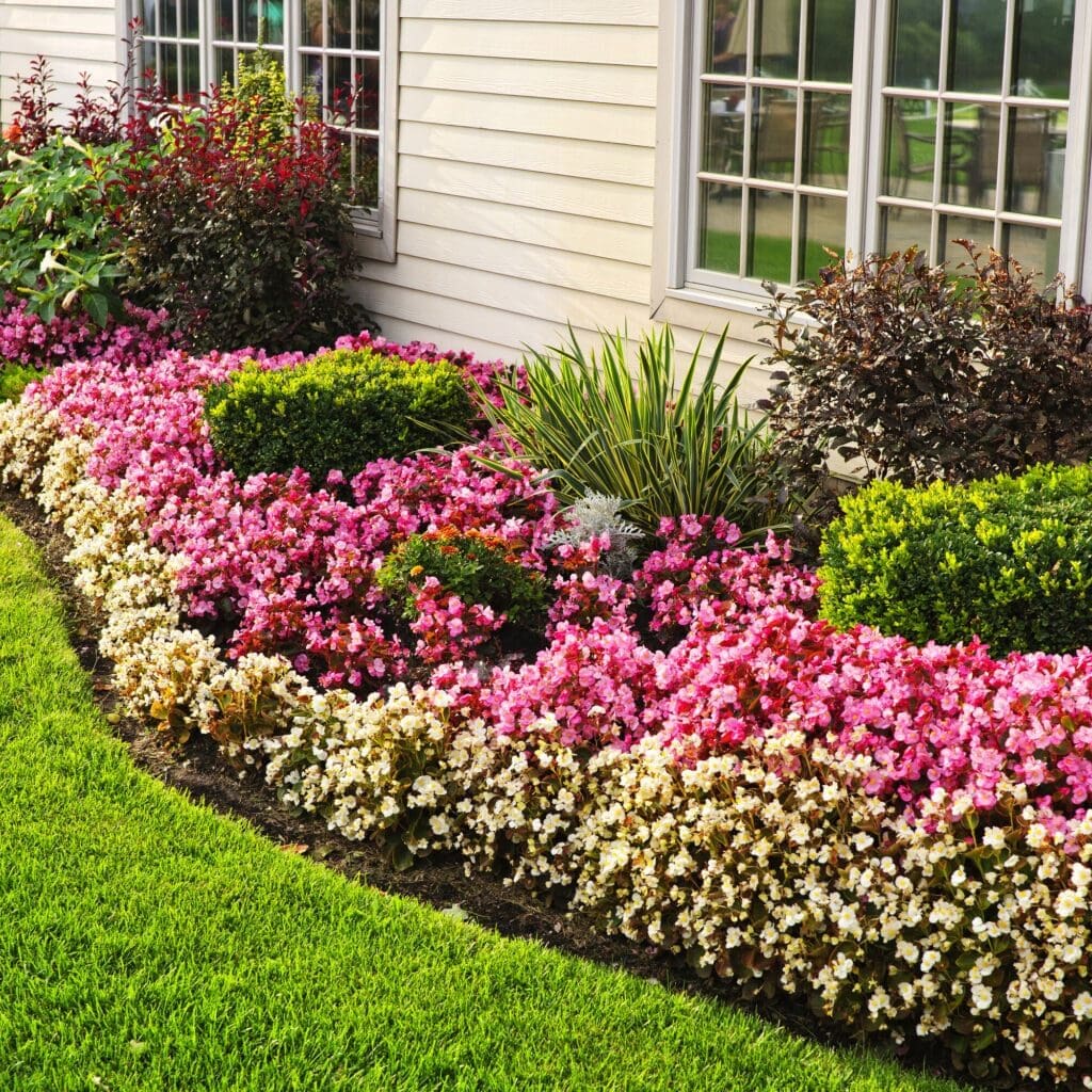 Scotch Plains, NJ Lawn Care Companies