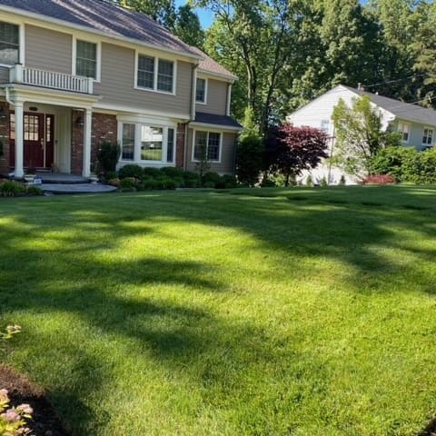 Scotch Plains, NJ Lawn Care Companies