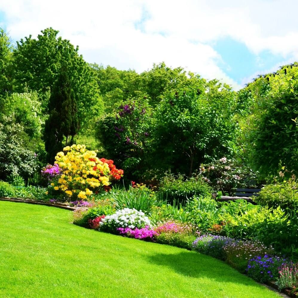 Scotch Plains, NJ Lawn Care Companies